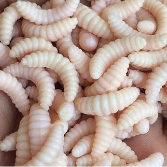 Pet Outdoor Soft Maggot Grub Fishing Lure Bait Set